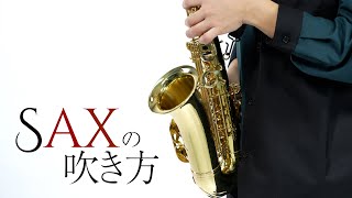 PLAYTECH ( プレイテック ) PTAS-200BK アルトサックス ブラック 送料