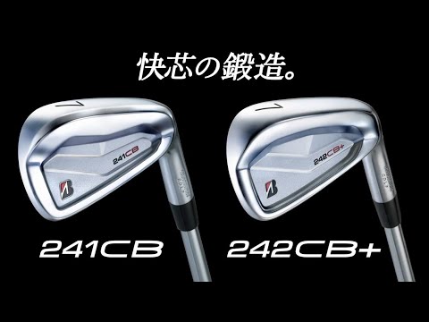 アイアン 6本セット #5～9、PW 242CB+ IRON シルバー 2PPB6IS [Diamana