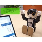 RoBoHoN SR-01M-W｜価格比較・最新情報 - 価格.com