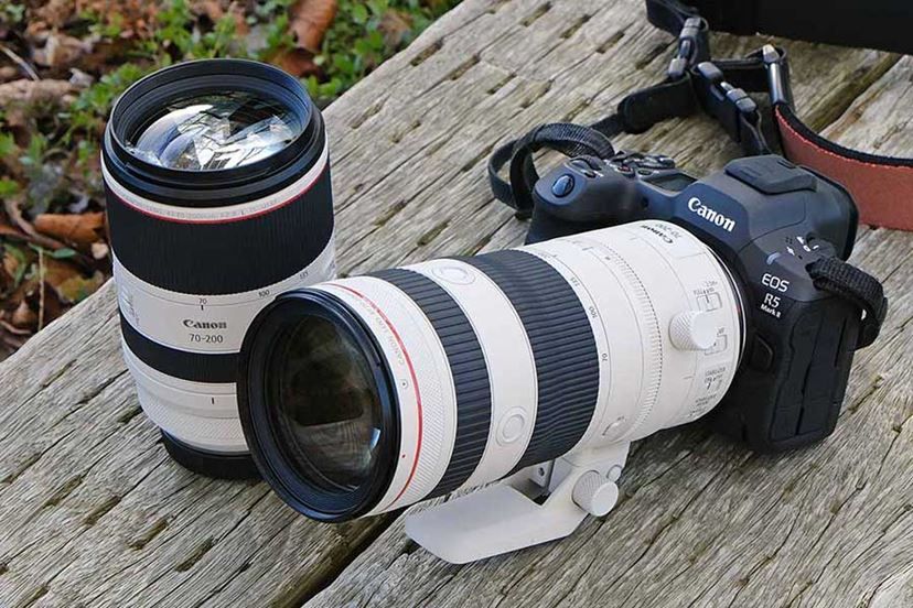 キヤノンの望遠“L”ズームレンズ2本を徹底比較！ 性能とサイズ感の