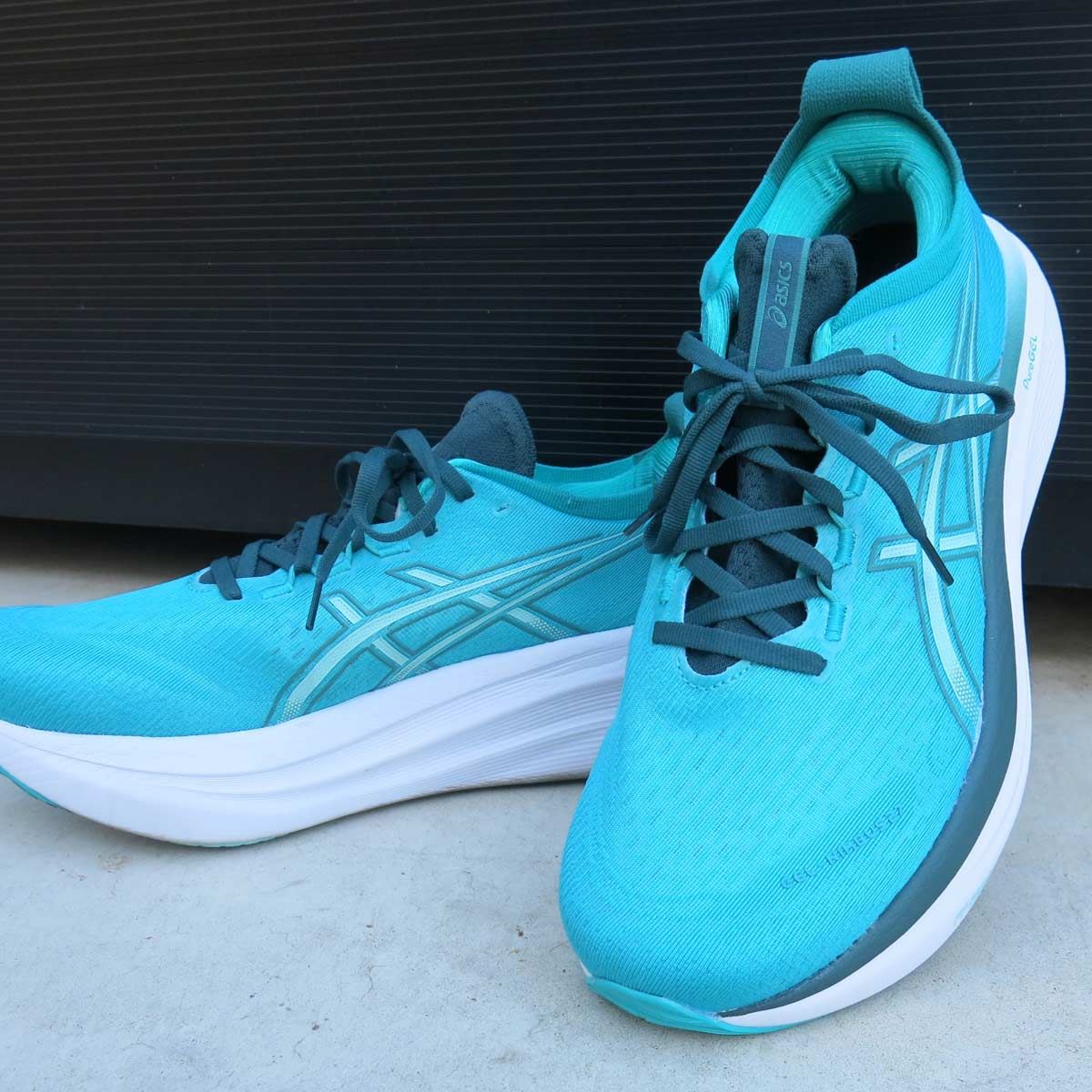 体重増が気になる人はお試しを！ “雲”感がアップしたアシックス