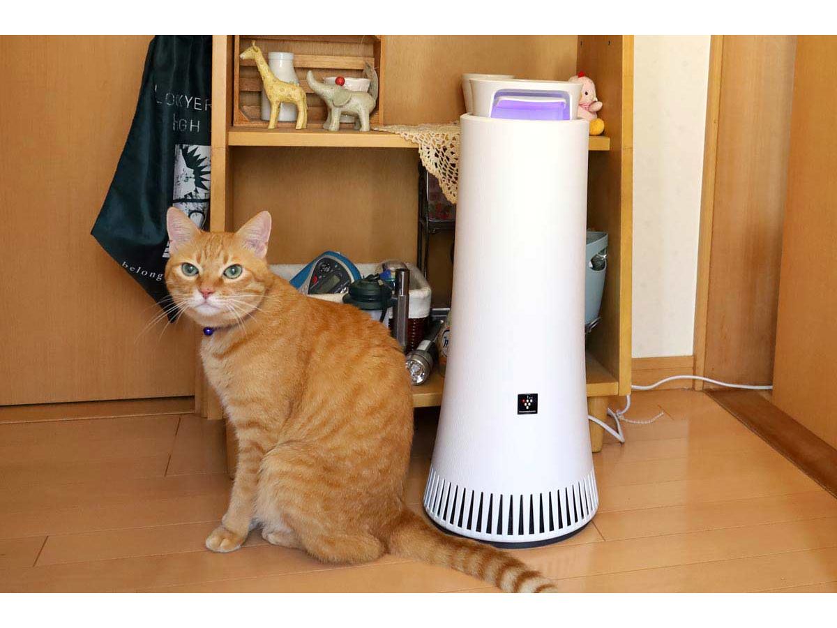 焼肉・ペット・玄関…家のニオイ対策に！「プラズマクラスター除菌脱臭