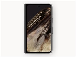 google pixel 9 fold」の人気商品一覧 | 安い商品を通販サイトから探す