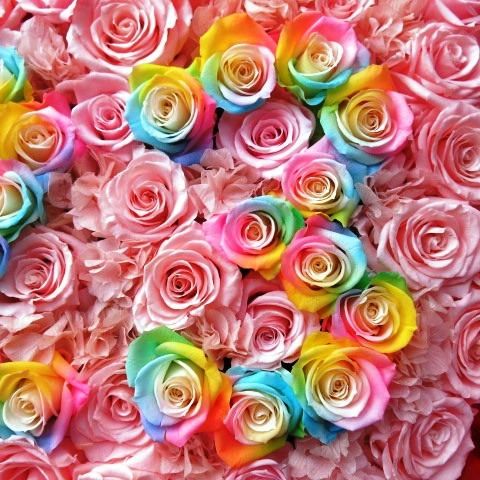ハート 花 プレゼント サプライズ レインボーローズ プリザーブド