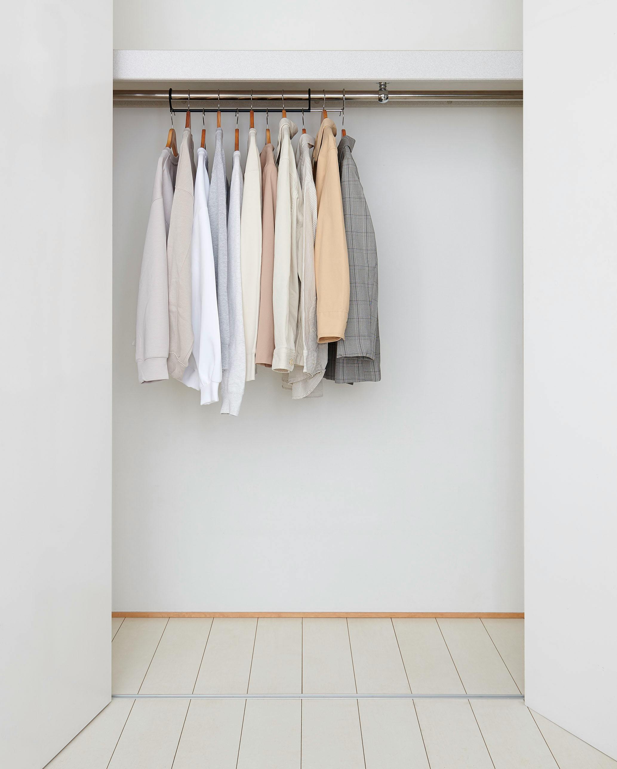 株式会社伸晃 ダブル収納ハンガー伸縮タイプ1台入 (幅)45(奥)6.1(高