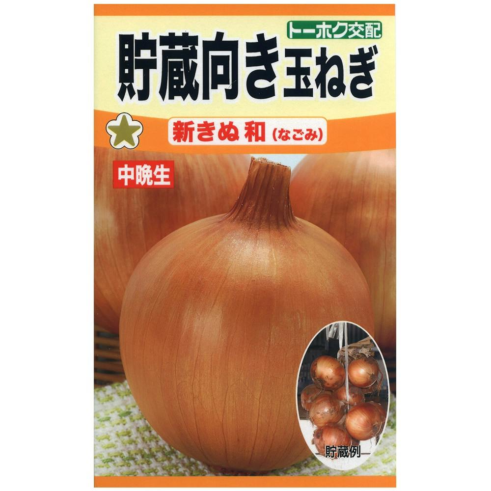 泉州中高黄タマネギ | 花＆グリーン 通販 | ホームセンターのカインズ
