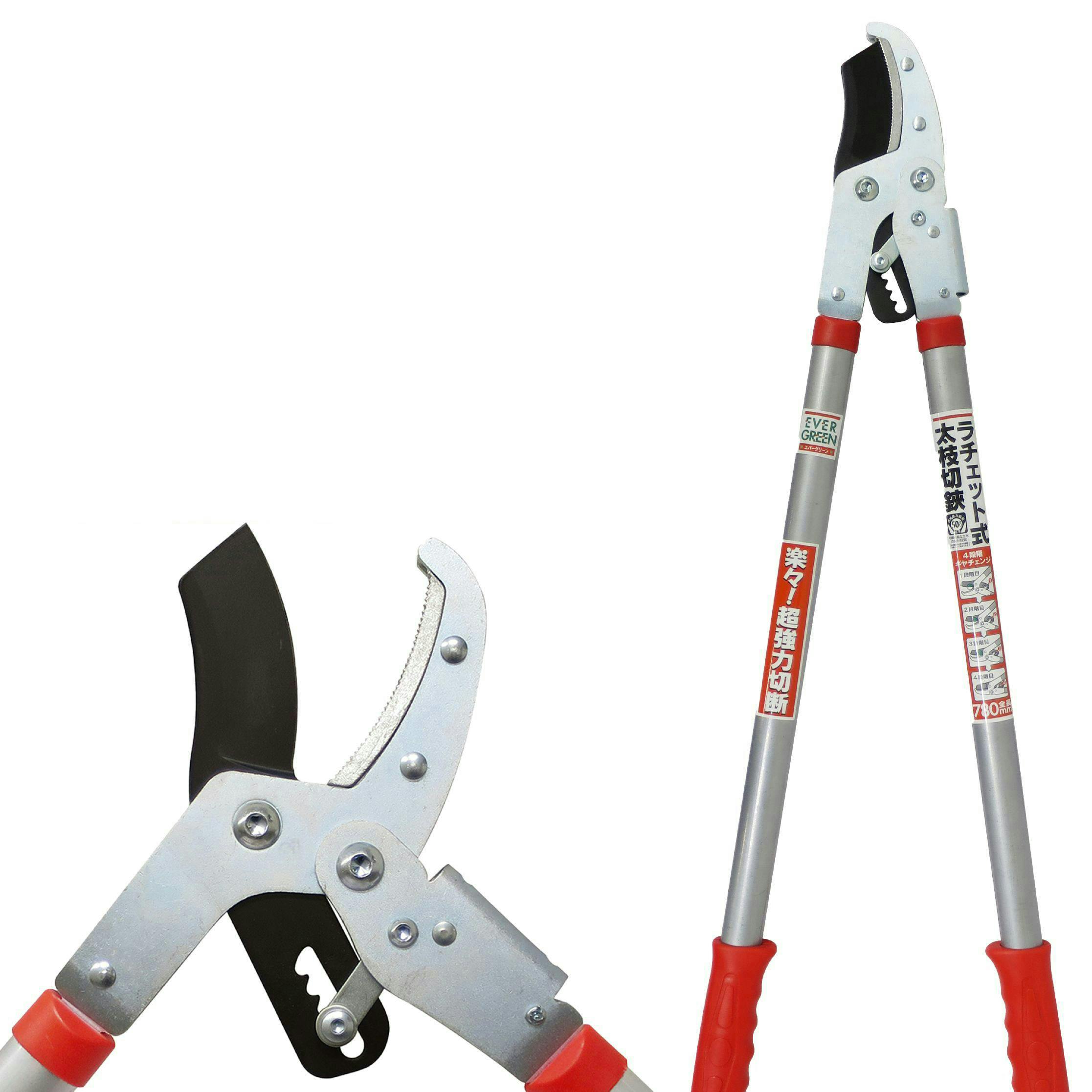 約5cmまでの枝が切れる 】 大進 ラチェット式太枝切鋏 50mm 太枝切り鋏