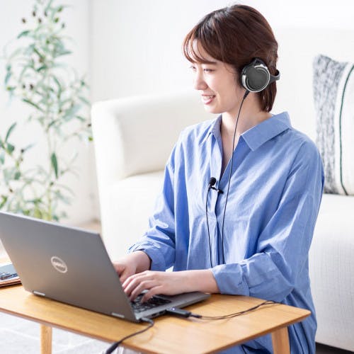 サンワサプライ ピンマイク 2.5m EA764AB-166 4550061962985【別送品