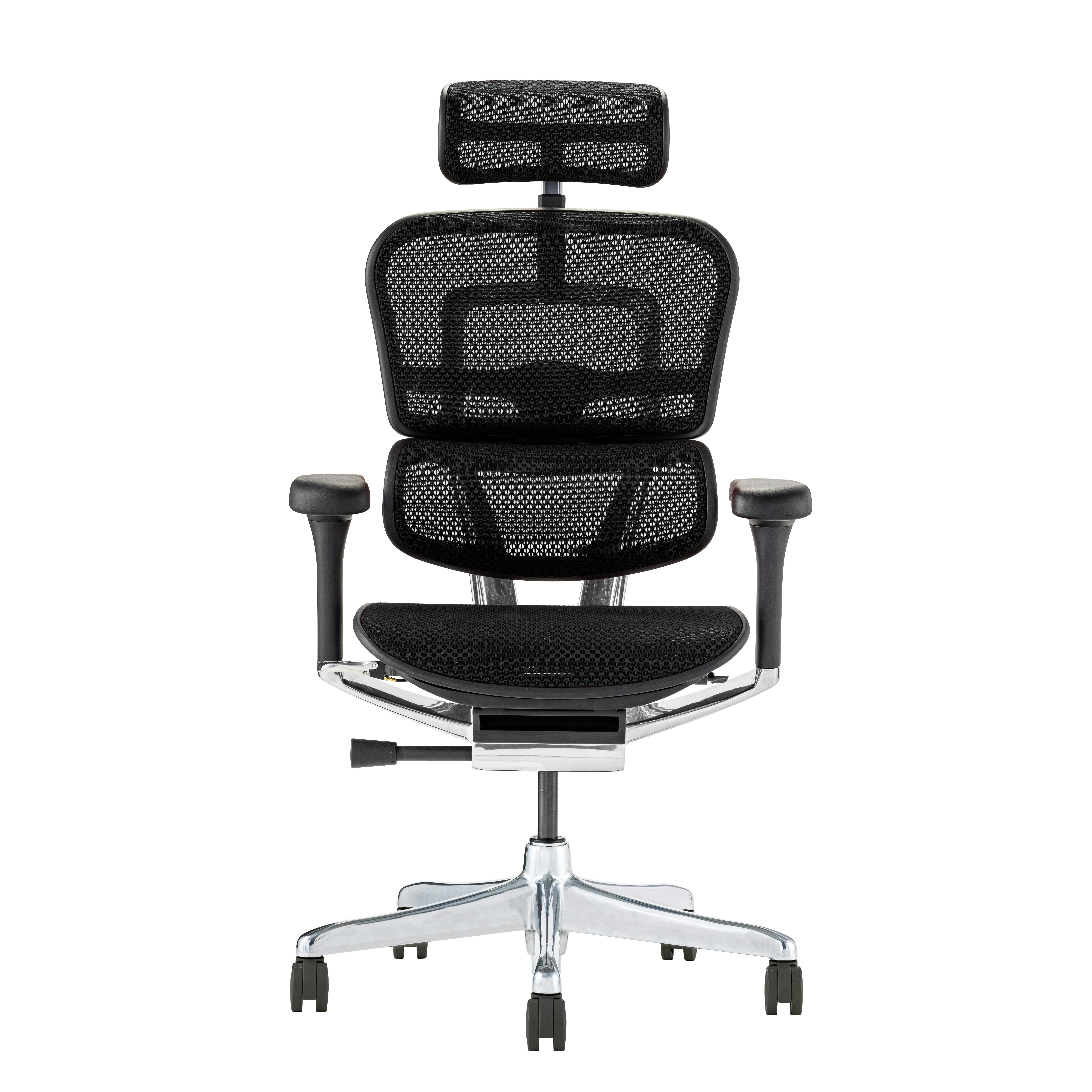 Ergohuman2(エルゴヒューマン2) オフィスチェア EHP2-HAM-DR-BF-BK 新