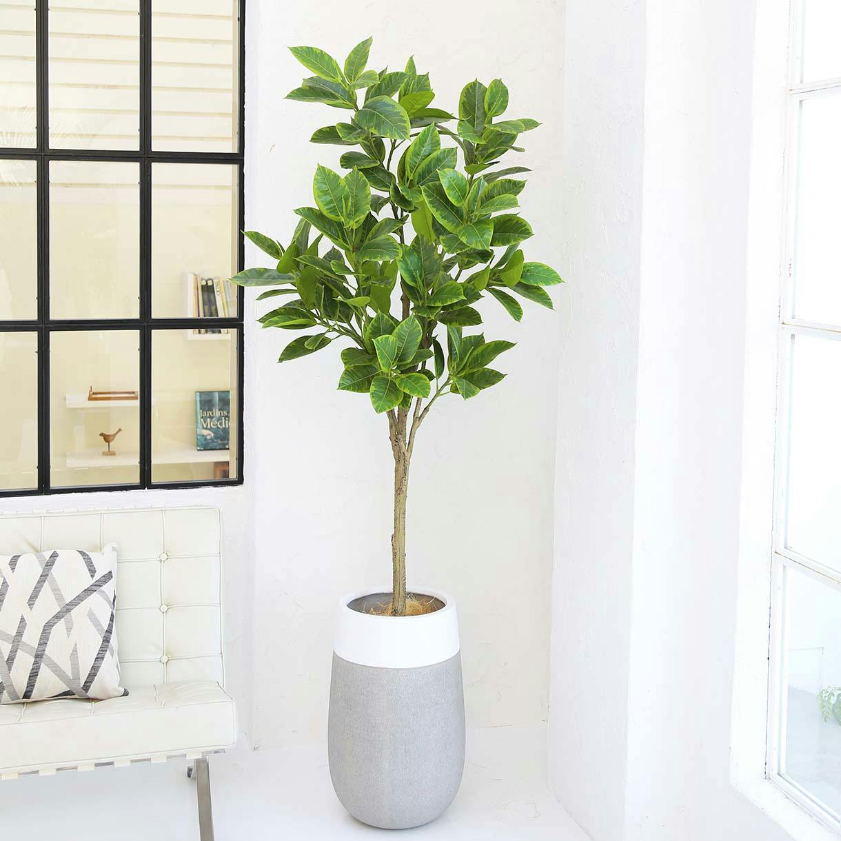 GREEN COFFRET アルテシマ180cm 人工観葉植物 フェイクグリーン