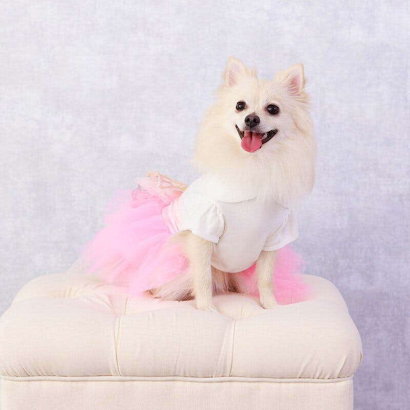 ONEKOSAMA OINUSAMA チュチュスカート/ピンク/2L-3L 小型犬 洗える