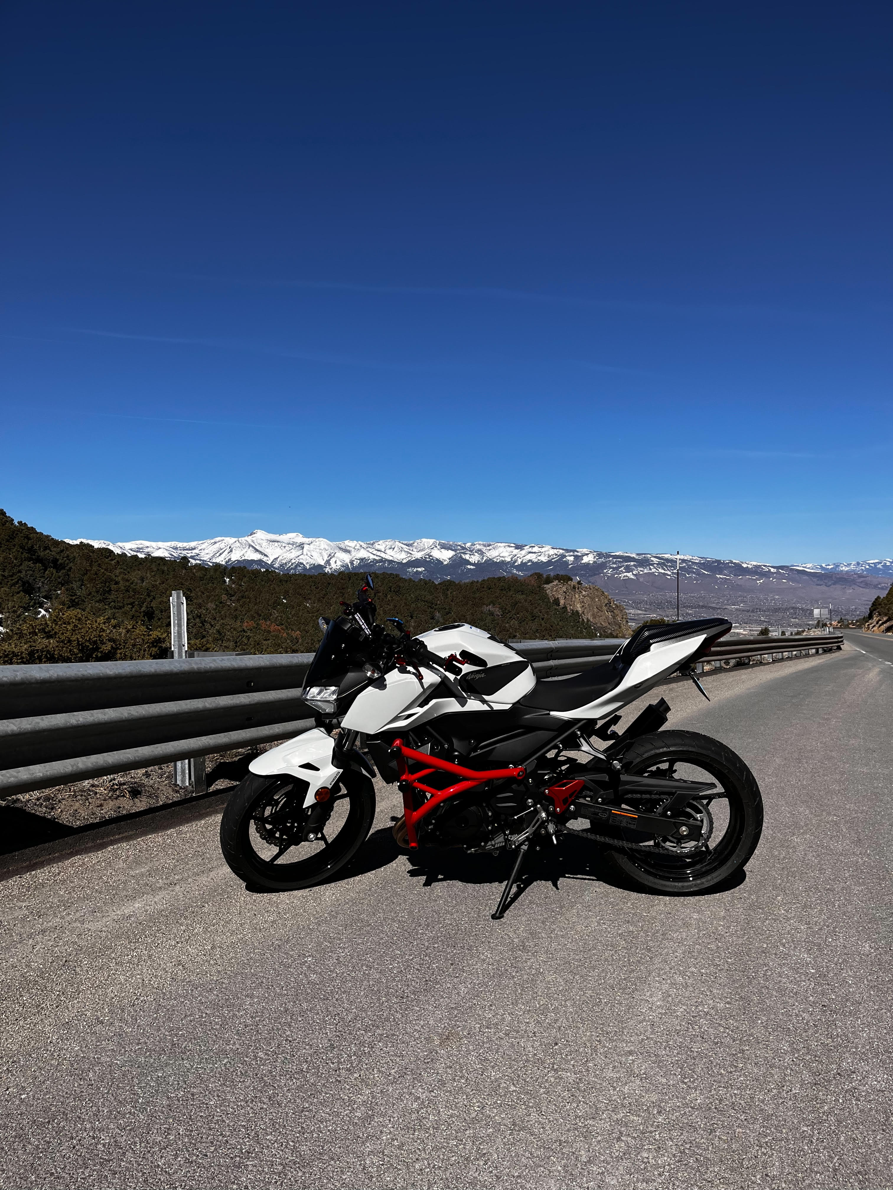 Crash Cage Kawasaki Z400 | 2018-2025