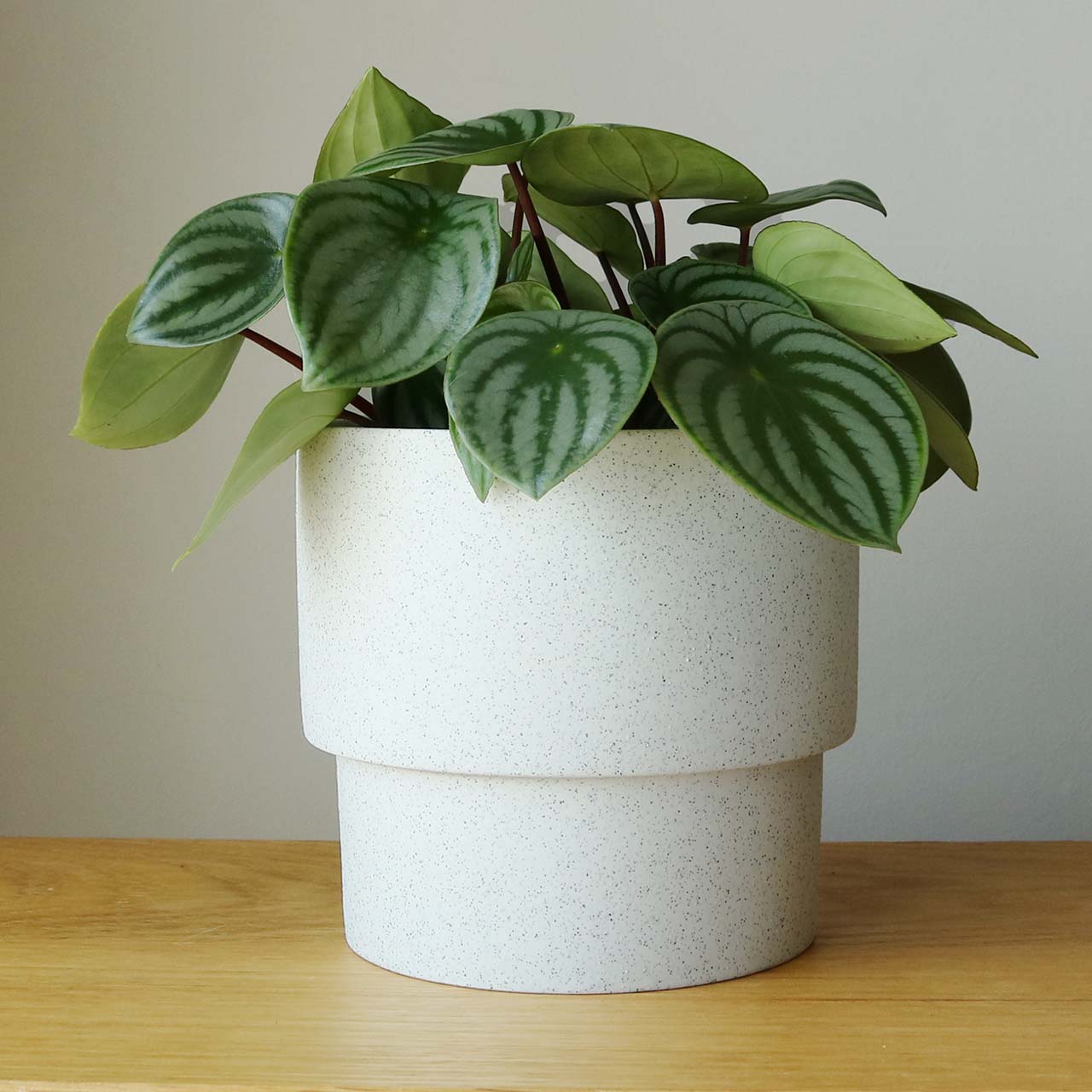 鉢カバー 陶器 5号 – inakougei