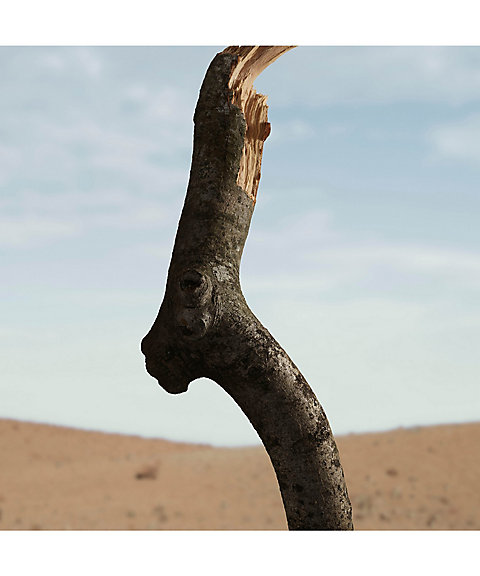 Burberry Beauty（Burberry Beauty） バーバリー シグネチャー ウード