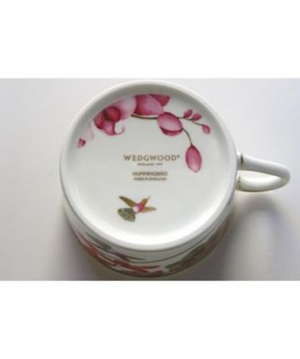 ハミングバード ティーカップ＆ソーサー | WEDGWOOD/ウェッジウッド