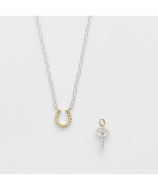 2026 Limited Edition》シルバー／K10ネックレス