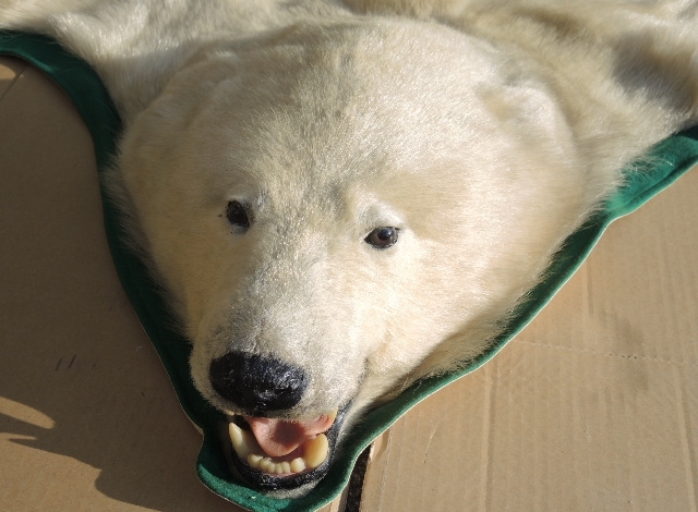 白熊(シロクマ)の剥製 ラグマット】洋食器・インテリアの買取実績一覧