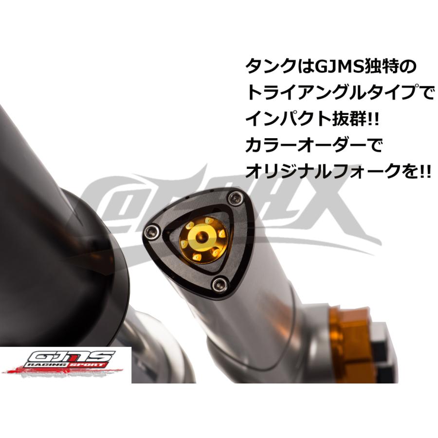 GJMS】FS-X倒立フロントフォーク 最上級 カラーオーダー品 受注発注品