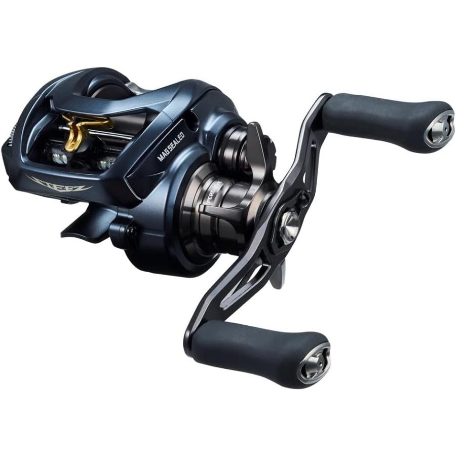 DAIWA（ダイワ） STEEZ AII TW 1000XHL (309755) ベイトリール : 熊人