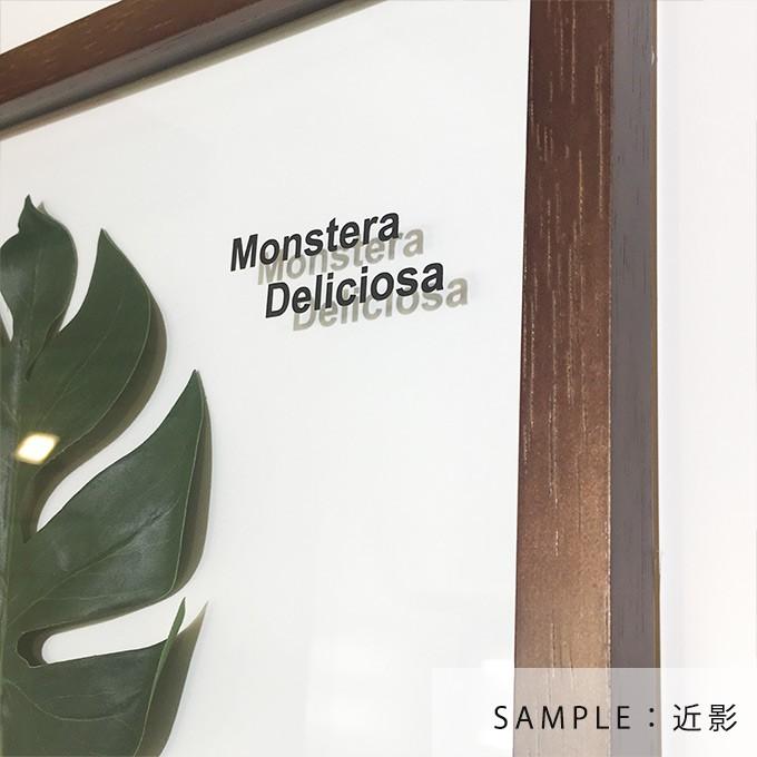 リーフパネル「並べて飾るとオシャレです」選べる3点 お得なまとめ買い