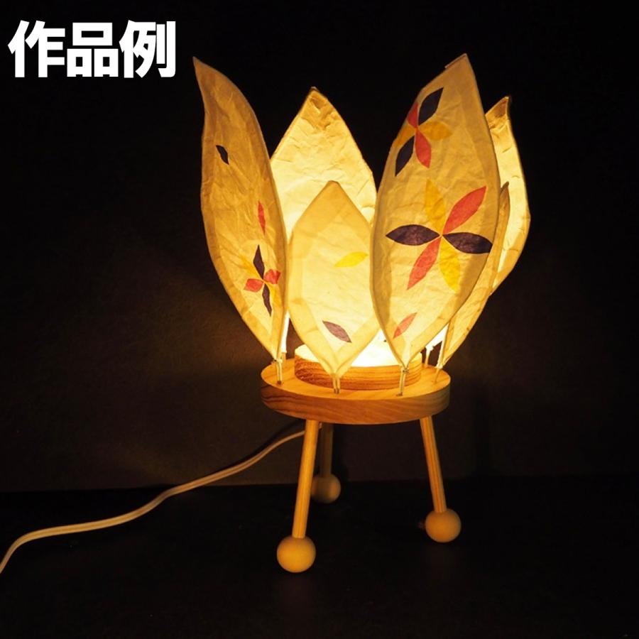 ワイヤーランプクラフト 丸型 ナイトライト 光源付き 【 照明 工作