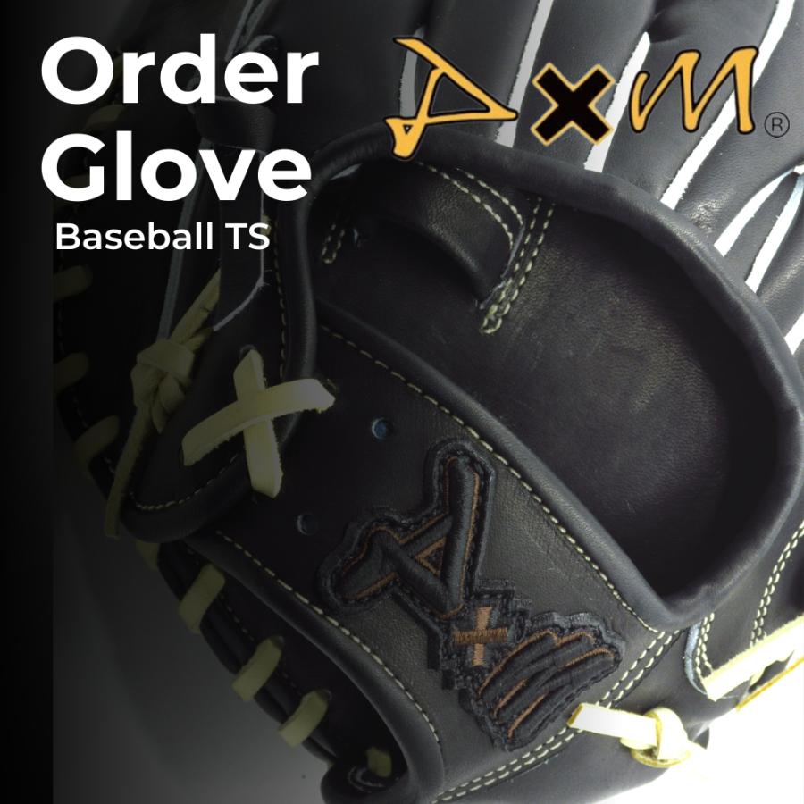 D×M ディーバイエム 硬式オーダーグラブ 硬式グローブ 高校野球 大学