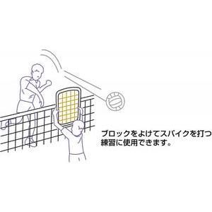 molten（モルテン） バレーボール ブロックネット 大 VBN8765 : 野球