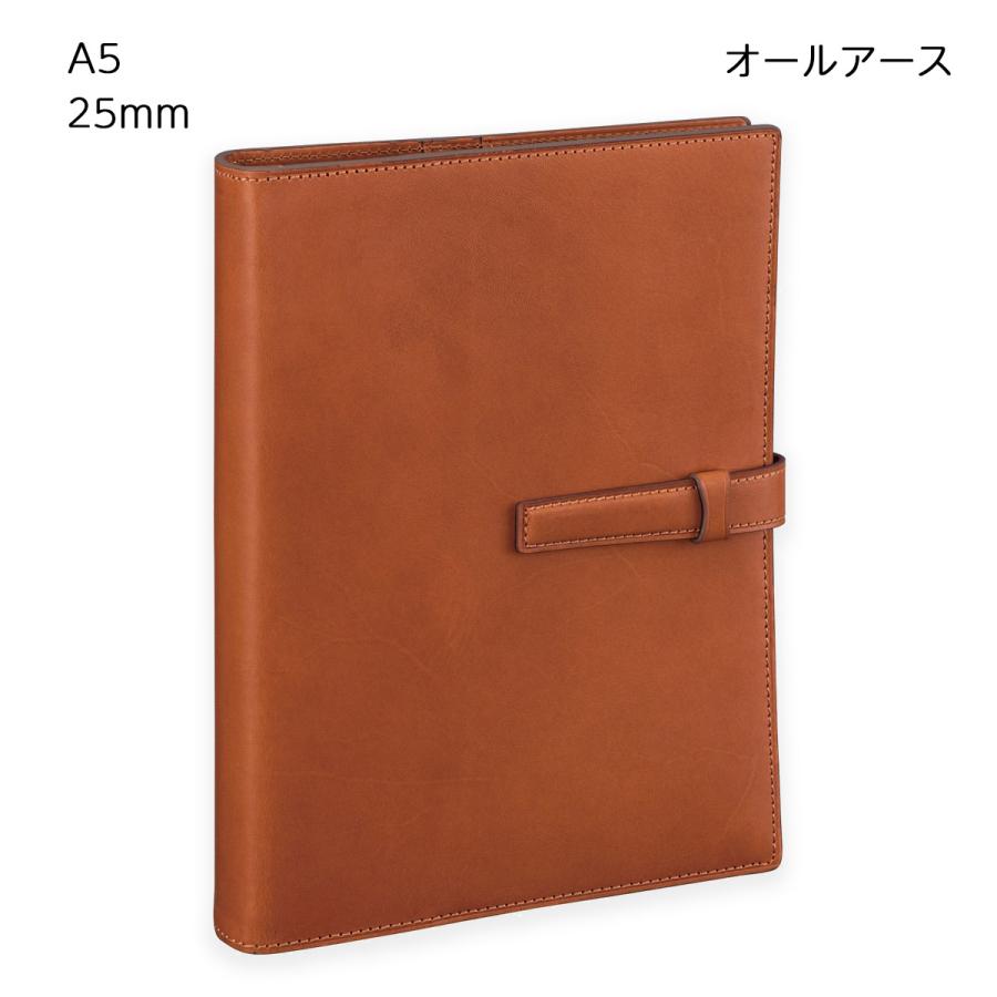 ダ・ヴィンチ 【送料無料(本州のみ)】レイメイ藤井 DSA4051C システム