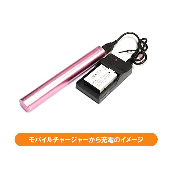 DC17 IXY DIGITAL 200a 300a 320 400 450 500 等対応USB充電器