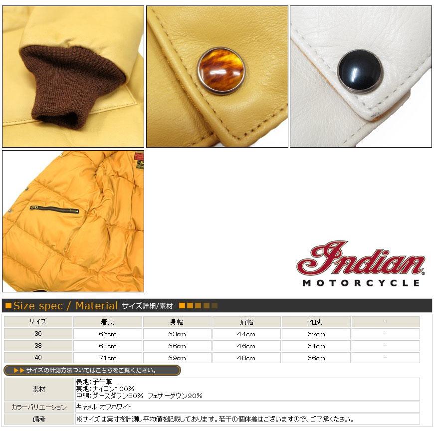 INDIAN MOTOCYCLE（インディアンモトサイクル） インディアンモーター