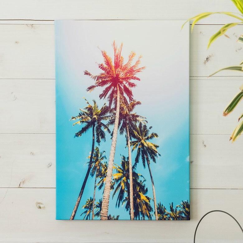 アートパネル カリフォルニアの空とヤシの木 約40cm×60cm アート
