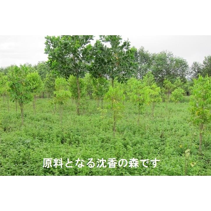 無添加ベトナム産高級沈香お線香 沈水香木 シャム香 沈香 香木 羅国