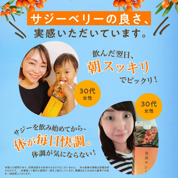 フィネス 豊潤サジー 1000ml サジージュース 紙パックタイプ 公式 200