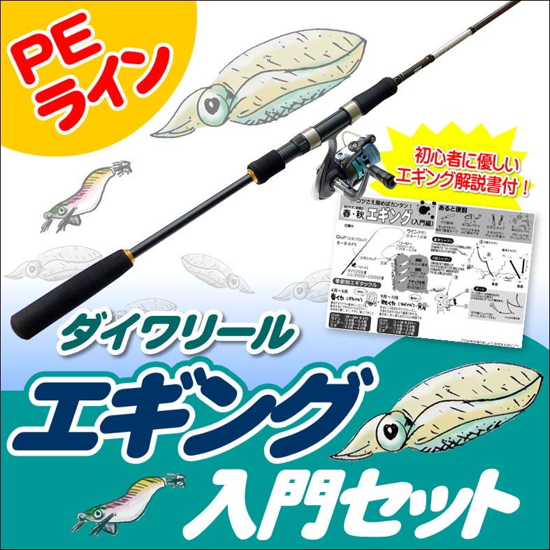 DAIWA（ダイワ） エギング入門セット ロッド・ダイワリールPEライン