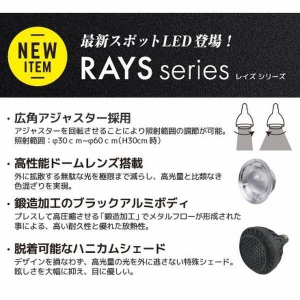 ZOOX 送料無料 レイズ スーパーブルー SuperBlueRAYS 高品質スポット