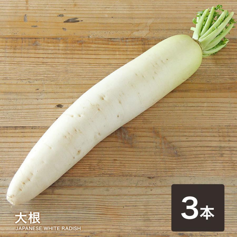 大根 3本 送料無料 だいこん 大根おろし サラダ おでん 煮物 豚汁