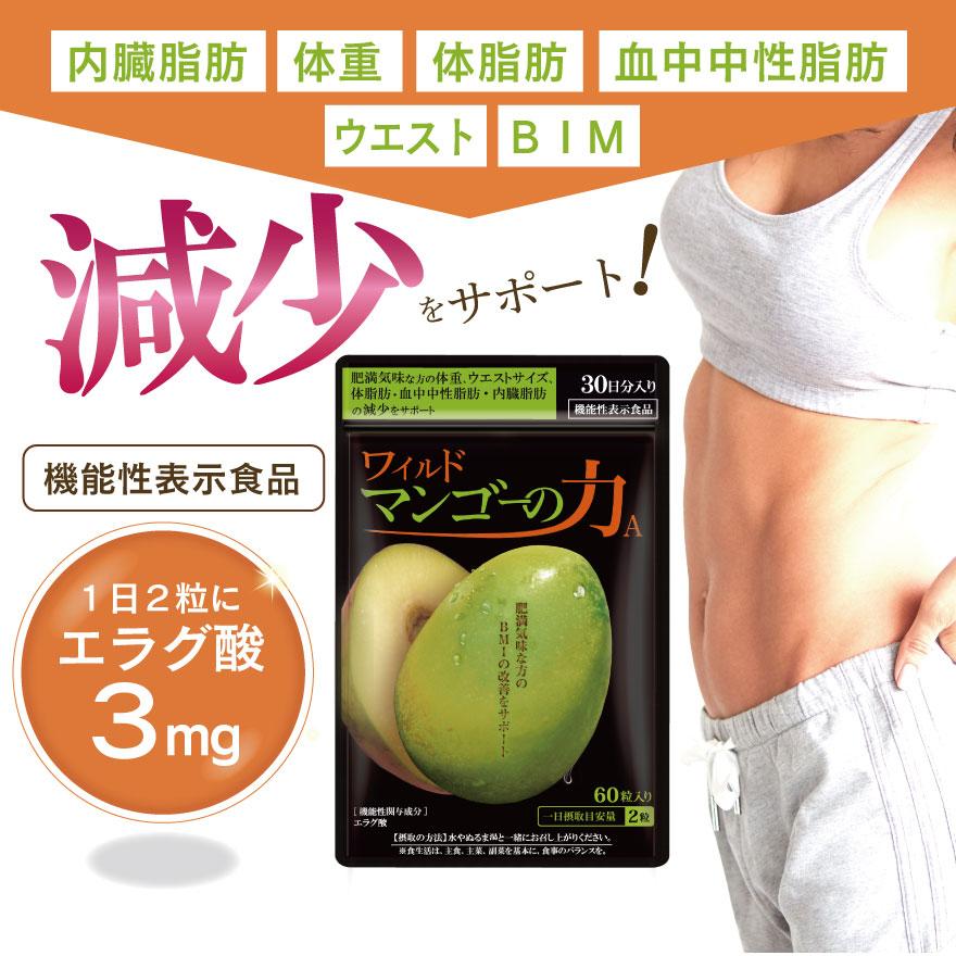 亀山堂 ワイルドマンゴーの力 A エラグ酸 機能性表示食品 30日分 60粒