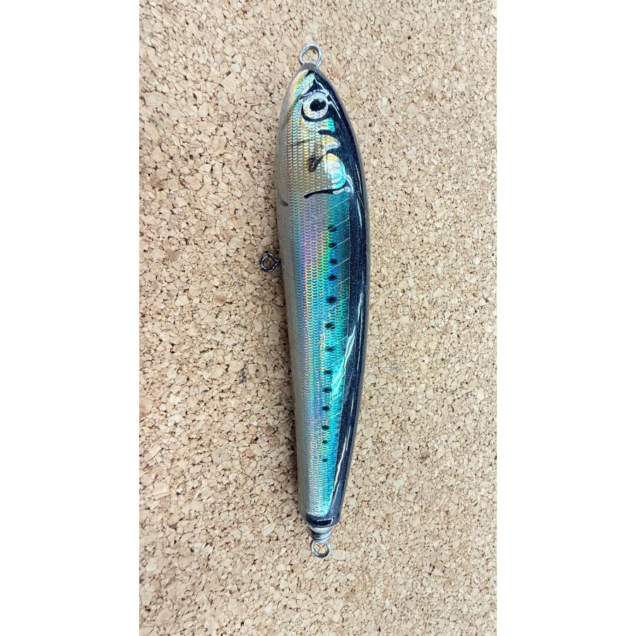 カーペンター ブルーフィッシュ 60−170 お見逃しなく！〇