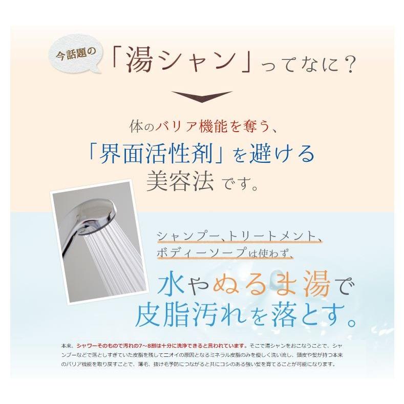 湯シャンタブレット シャワーヘッド+タブレット10錠入り ノー