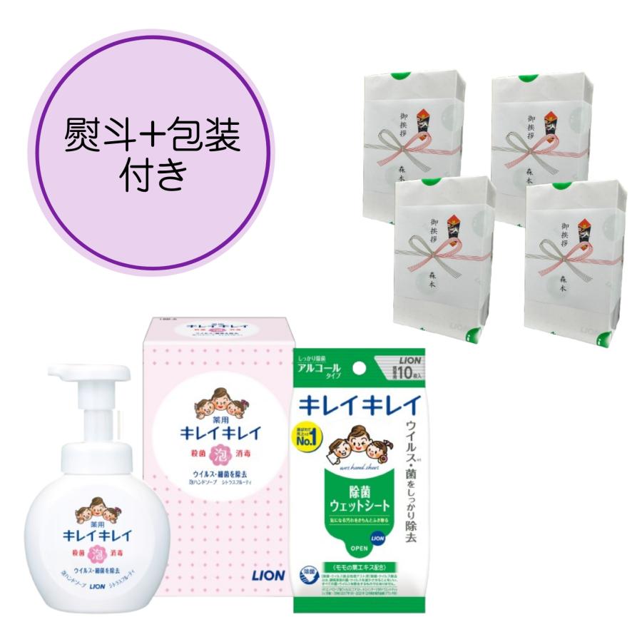 キレイキレイ 【のし+包装無料】単品販売 薬用泡ハンドソープセット