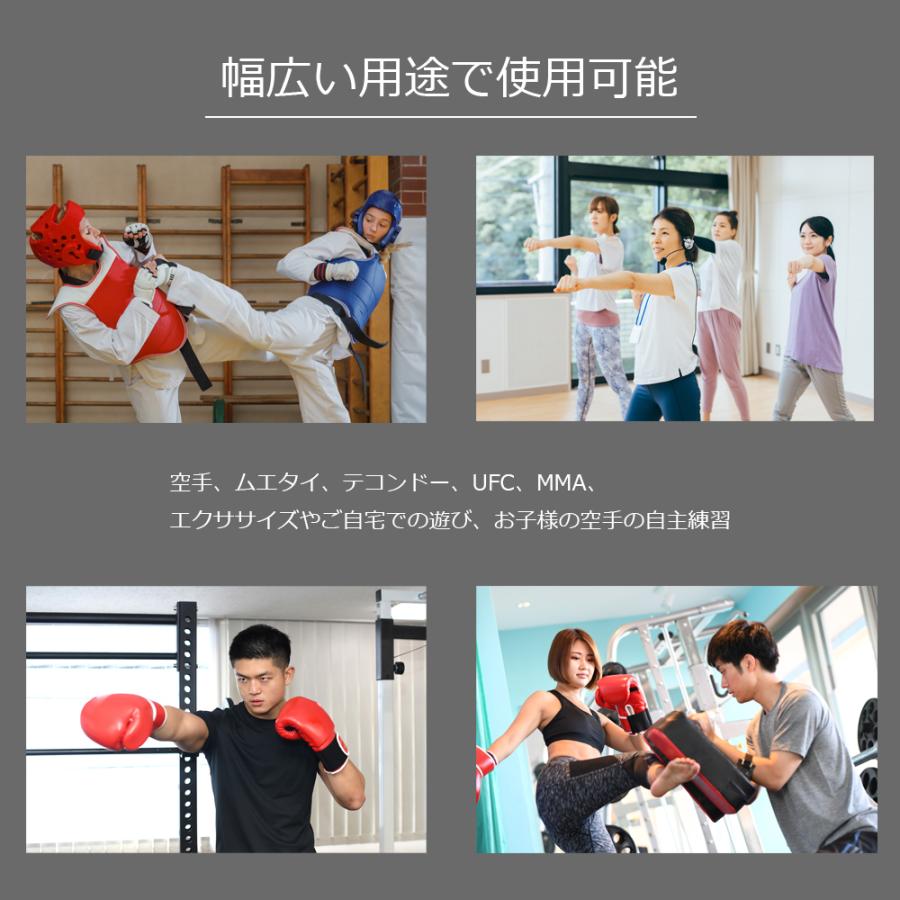 ZELDNER（ゼルドナー） キックミット 空手 ミット パンチミット 2個