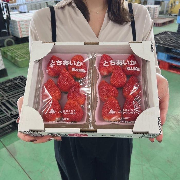 イチゴ いちご 苺 とちあいか 2パック 栃木県産 規格 6〜7粒 1粒40g