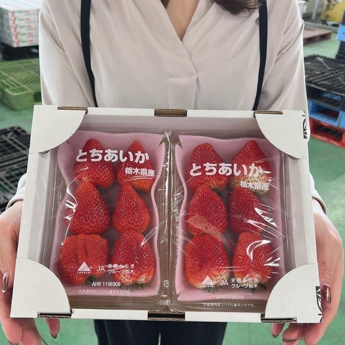 イチゴ いちご 苺 とちあいか 2パック 栃木県産 規格 6〜7粒 1粒40g