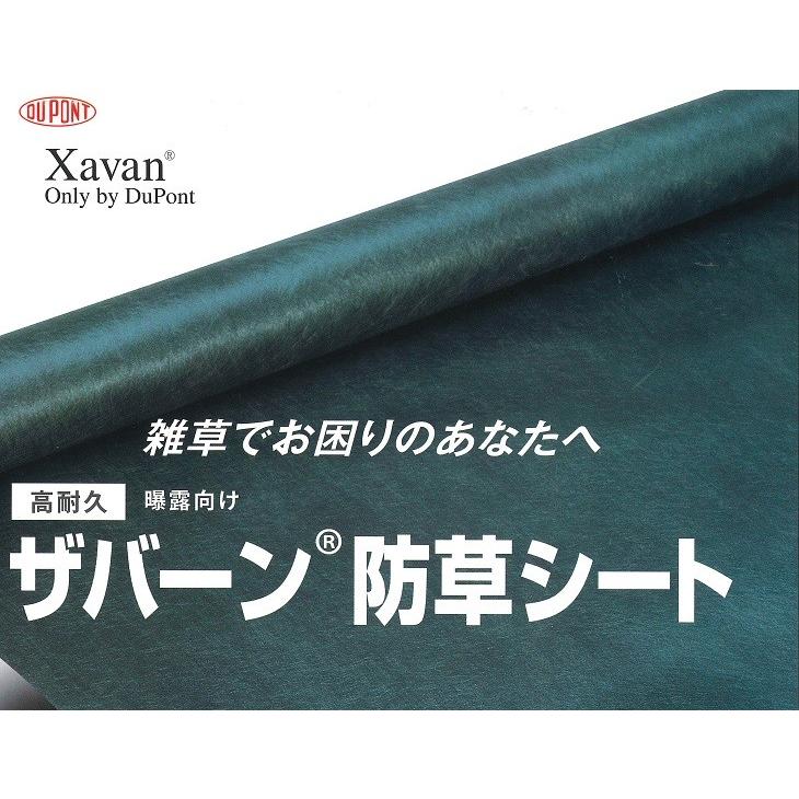 DuPont（デュポン） ザバーン デュポン社 防草シート 350G 2m×30m XA