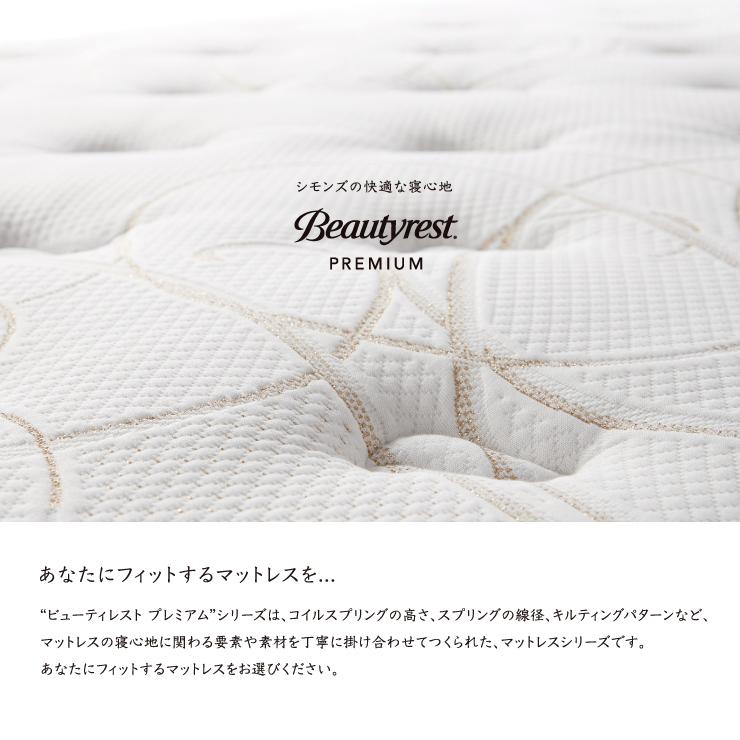 SIMMONS（シモンズ） ニューフィットマットレス AA21212 SD セミダブル
