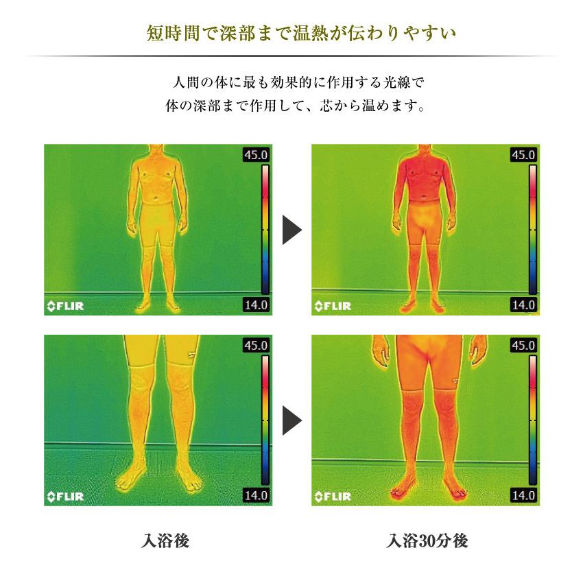日本製 サウナフルセット お家で誰でも簡単 ホームサウナSPA サウナ