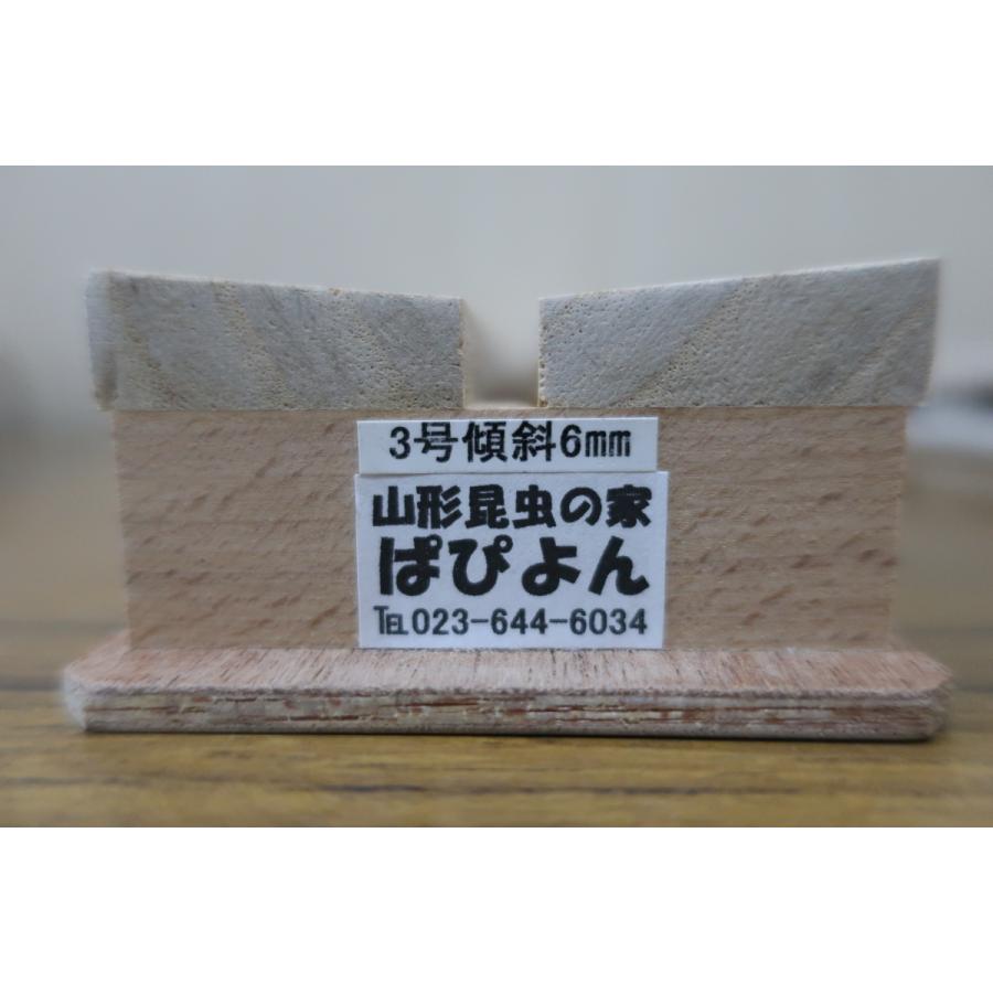 傾斜展翅板（日本製） 3号 : ラブリーインセクト - 通販 - Yahoo