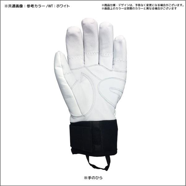 OGASAKA（オガサカ） 21-22 【スキーグローブ/数量限定】GR