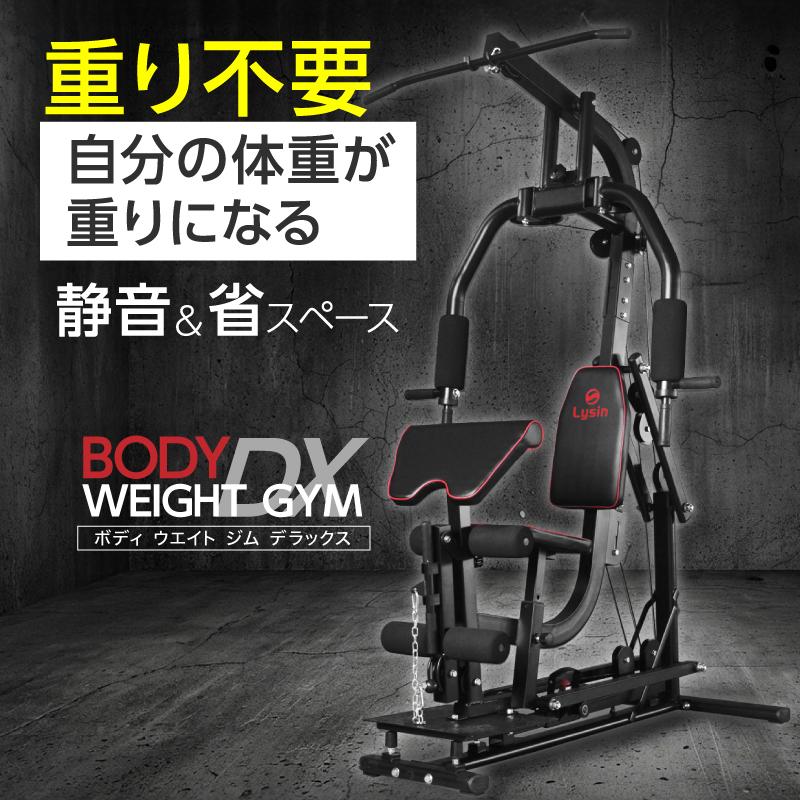 年に一度の総決算 最大10倍） ライシン ホームジム DX マルチ