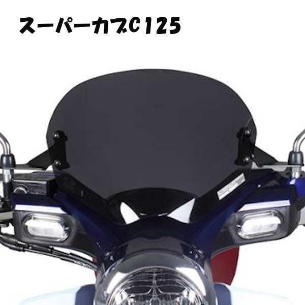 スペシャルパーツ武川 タケガワ 09-11-0089 メーターバイザーキット